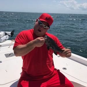 Meet your Posher, Randi